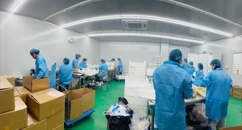 系统集成开发:优势与劣势对比