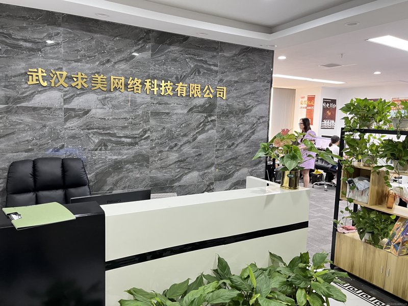 未来趋势:系统集成开发的优势与挑战
